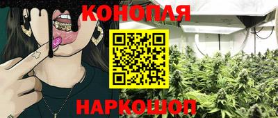 a pvp Моздок