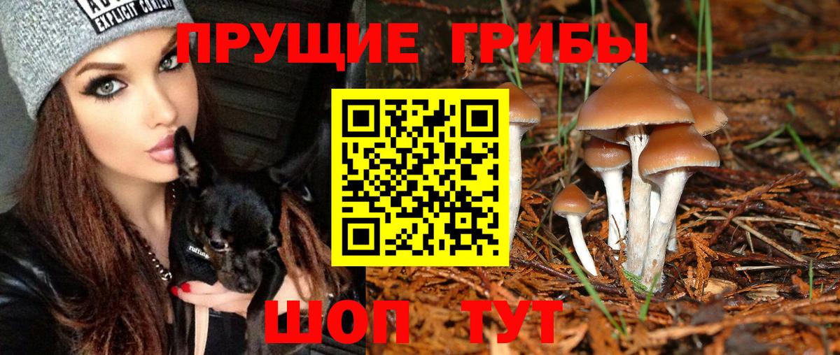 Галлюциногенные грибы мухоморы Верхний Уфалей